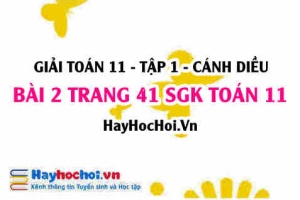 Giải bài 2 trang 41 Toán 11 tập 1 SGK Cánh Diều